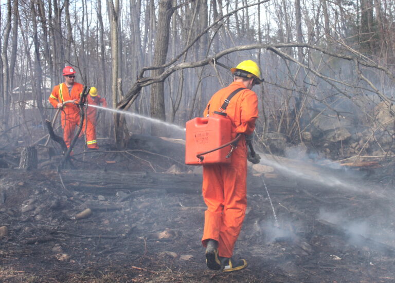Firefighters douse Swisha brush fire