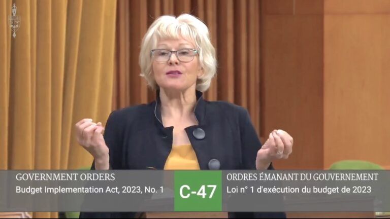 MP slams “Tik Tok” government in budget speech