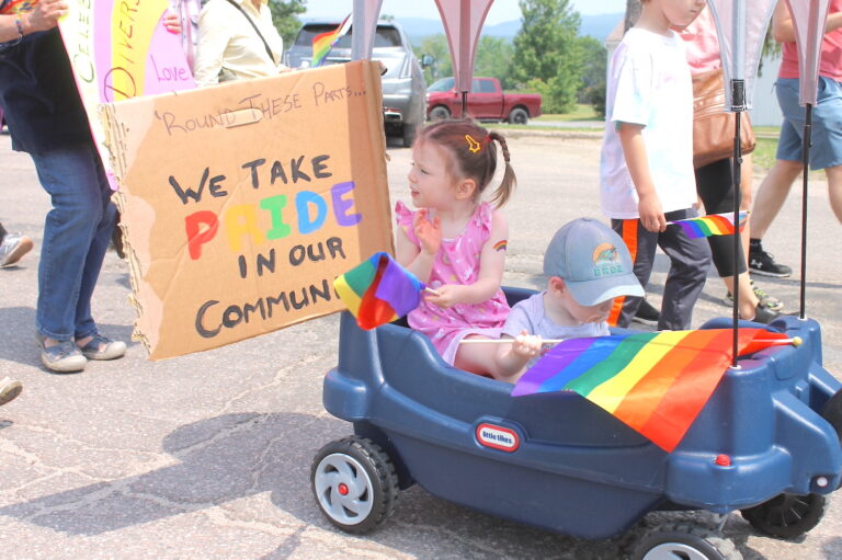Hundreds take part in Pride parade