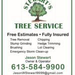 StewartsTreeService 2024 copy