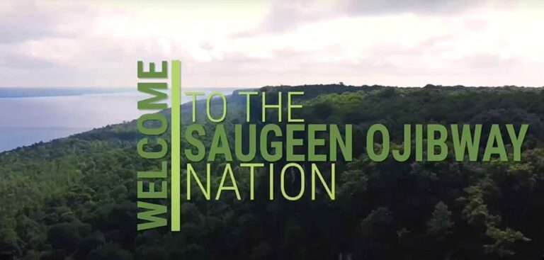 Ojibway Nation seeks to join NSDF appeal