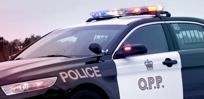 Human remains found in Head, Clara, Maria