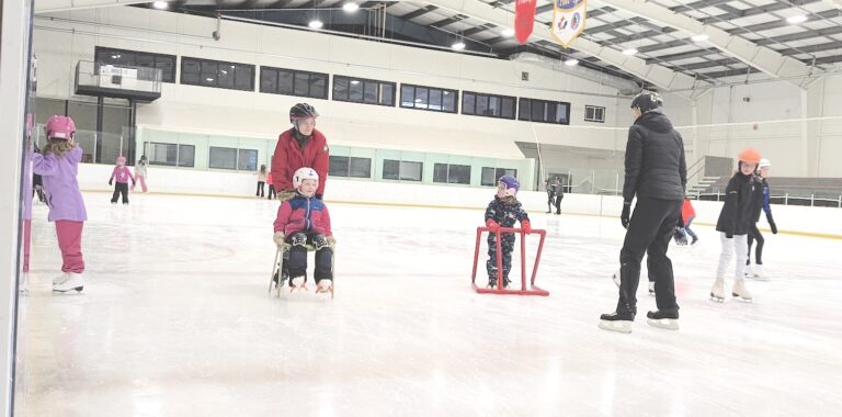 Town moving ahead with arena project