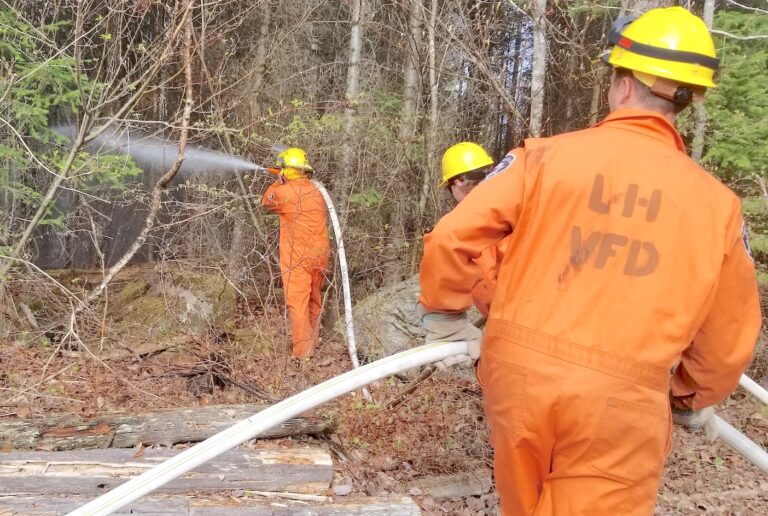 Laurentian Hills FD quells Swisha bush fire