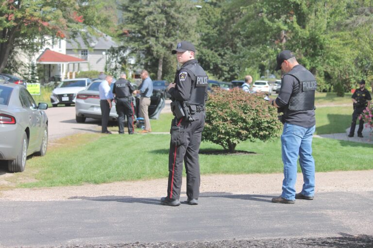 “No suspect in custody”
